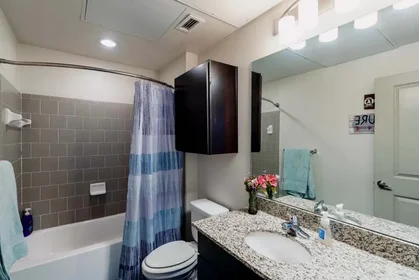 Stanza privata in West Plum Street, immagine 3 di 49