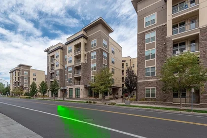 Stanza privata in West Plum Street, immagine 42 di 49