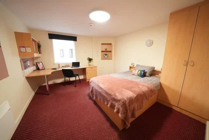 Stanza privata in Hawkhill, immagine 12 di 23