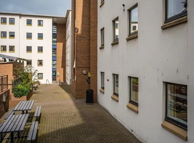 Stanza privata in Hawkhill, immagine 20 di 23