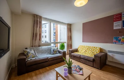Stanza privata in Hawkhill, immagine 7 di 23