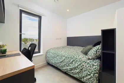 Studio in der 28-30 St. Peter's Street, bild 1 von 19