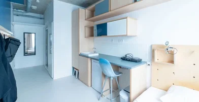 Monolocale in Rue du Centre, immagine 2 di 24