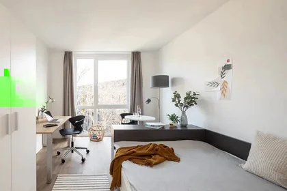 Studio à Kasernenstraße, image 5 de 39