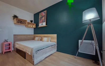 Habitación privada en Rue de la Girafe, imagen 1 de 10