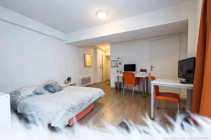 Studio at Rue Bechevelin, image 4 of 17