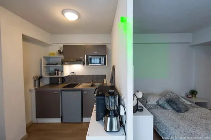 Studio at Rue Bechevelin, image 6 of 17