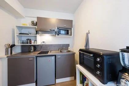 Studio at Rue Bechevelin, image 7 of 17