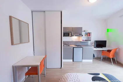 Studio at Rue Bechevelin, image 8 of 17