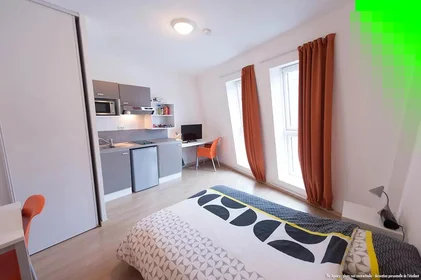 Studio at Rue Bechevelin, image 9 of 17