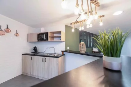 Stanza privata in Avenue Edouard Michelin, immagine 12 di 22