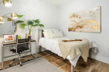 Habitación privada en Hillsborough Street, imagen 11 de 24