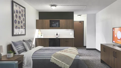 Monolocale in Scottsdale Drive, immagine 2 di 49