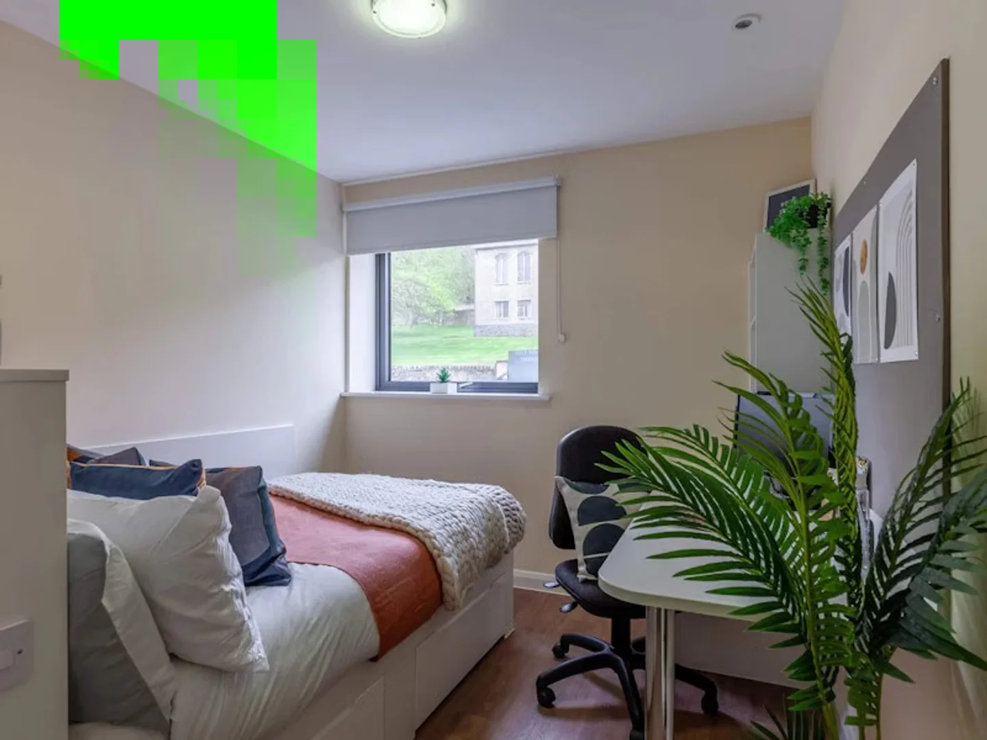 Camera accogliente per studenti disponibile a 