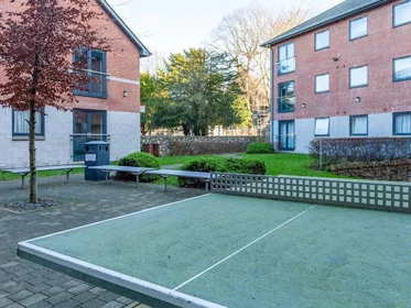 Studio à LL57 1US, image 17 de 46
