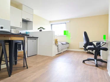 Studio in der LL57 1US, bild 2 von 49