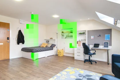 Sehr helles Studio zur Miete in {area}