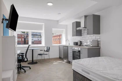 Stüdyo daire konumu Green Lane, 1 10 görüntüsü