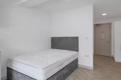 Stüdyo daire konumu Green Lane, 7 21 görüntüsü