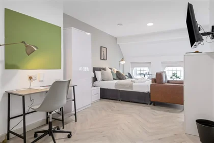 Stüdyo daire konumu Green Lane, 9 21 görüntüsü