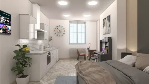 Monolocale in Green Lane, immagine 1 di 36