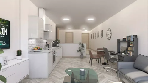 Monolocale in Green Lane, immagine 4 di 36