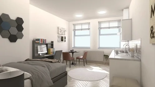 Monolocale in Green Lane, immagine 5 di 36