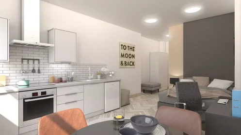 Monolocale in Green Lane, immagine 6 di 36