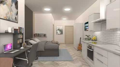 Monolocale in Green Lane, immagine 7 di 36