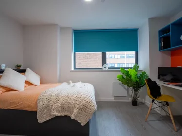 Habitación privada en Agard Street, imagen 7 de 20
