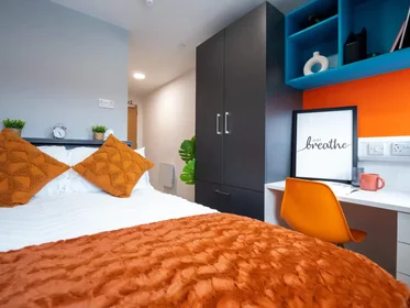 Stanza privata in Agard Street, immagine 1 di 20