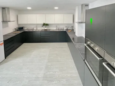 Stanza privata in Agard Street, immagine 11 di 20