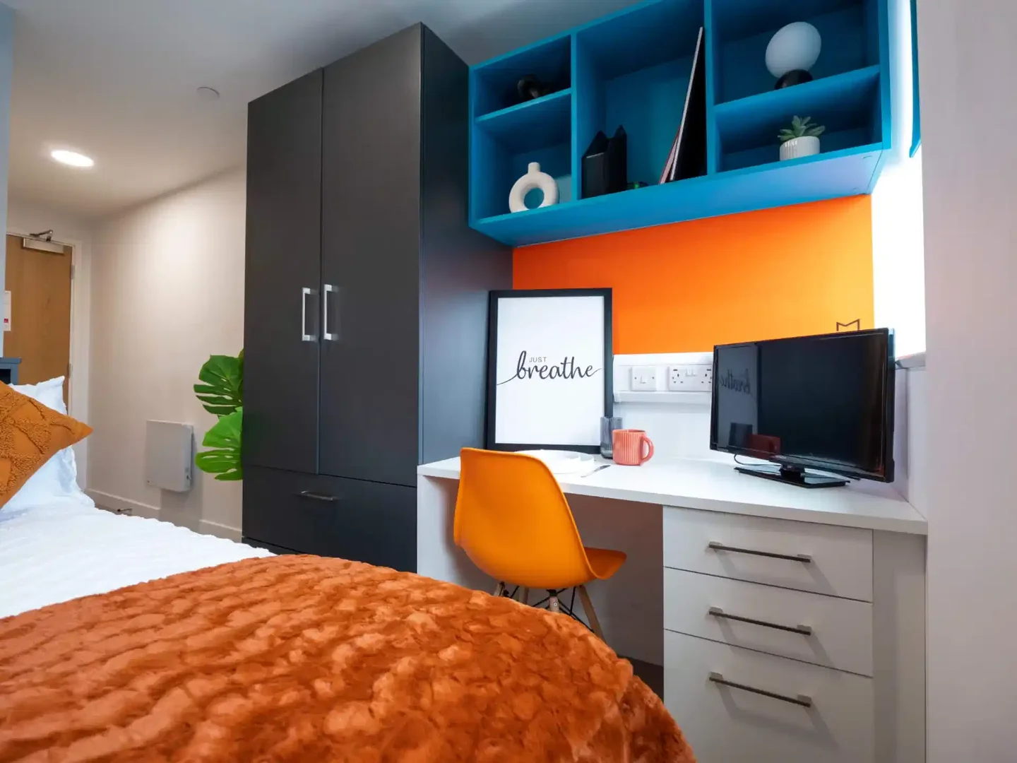 Camera accogliente per studenti disponibile a 