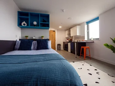 Monolocale in Agard Street, immagine 1 di 10