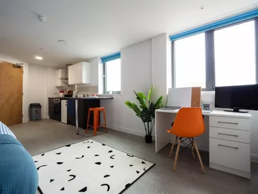 Monolocale in Agard Street, immagine 6 di 20