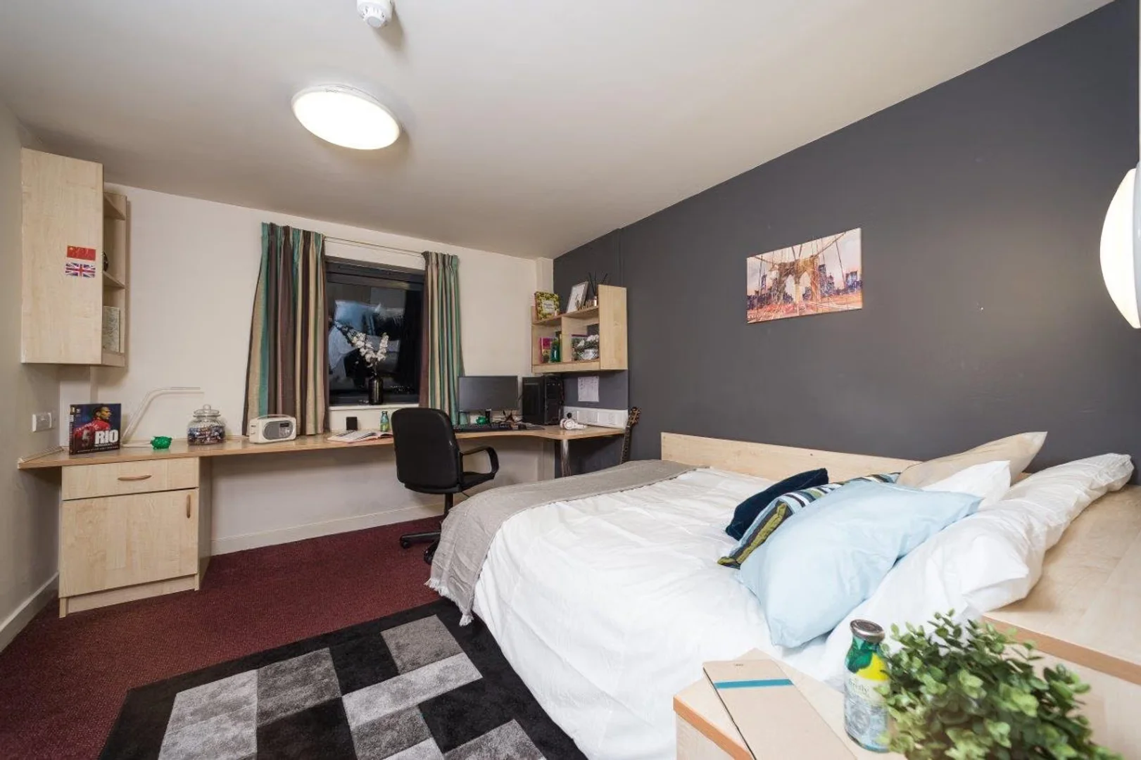 Habitación estudiantil económica cerca del campus en 