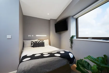 Stanza privata in Talbot Street, immagine 8 di 49