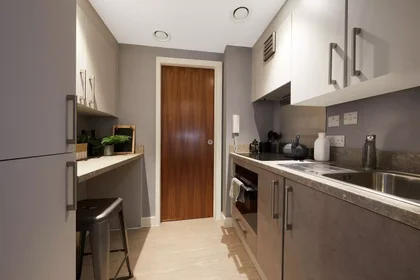 Stanza privata in Talbot Street, immagine 10 di 49