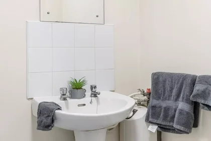 Privatzimmer in der Derwent Way, bild 3 von 49