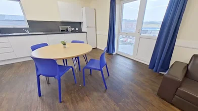 Privatzimmer in der Derwent Way, bild 32 von 49