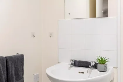 Privatzimmer in der Derwent Way, bild 10 von 49
