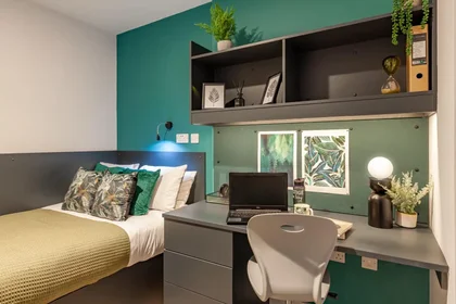 Stanza privata in Whitelock Street, immagine 1 di 10