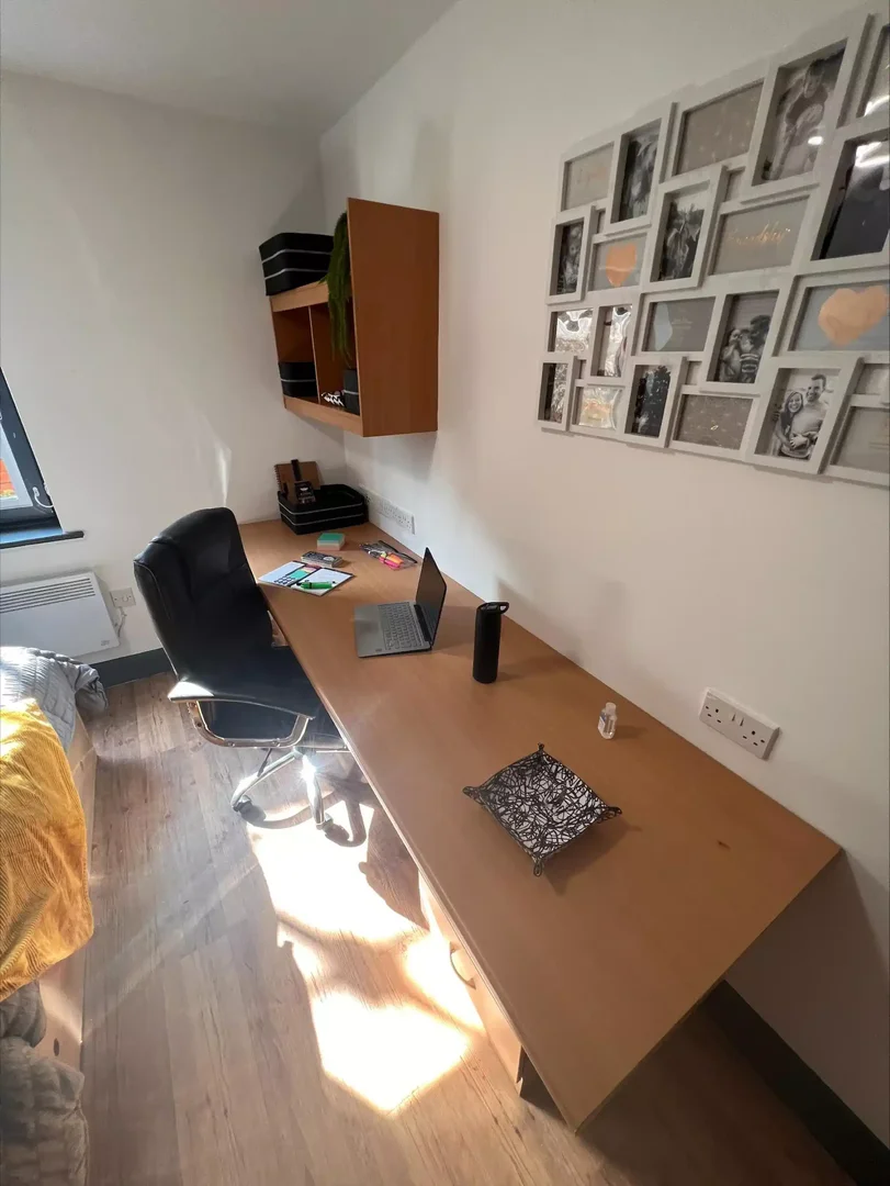 Bezahlbares Zimmer für Studenten mit ausreichender Beleuchtung in 