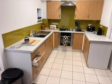 Chambre privée à Western Road, image 9 de 39