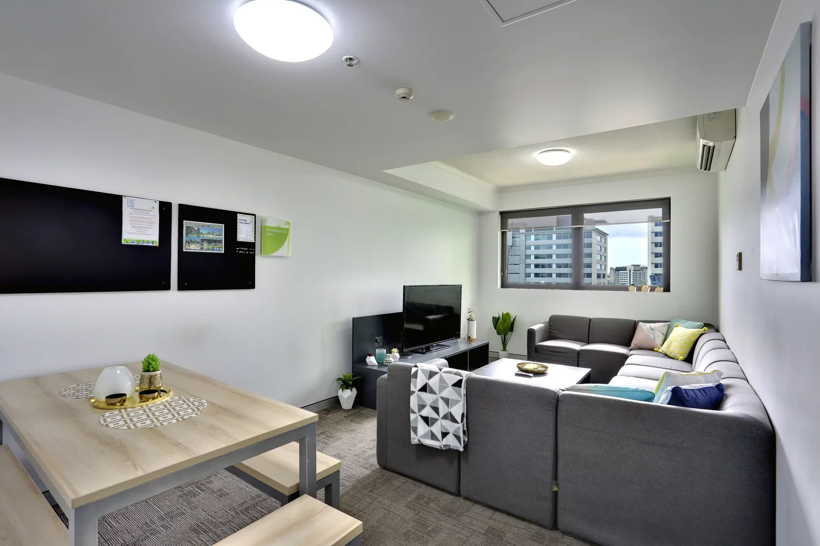 Affordable room for students with ample lighting in