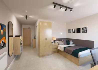 Stanza privata in Jennens Road, immagine 1 di 10