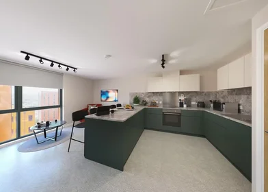 Stanza privata in Jennens Road, immagine 2 di 49
