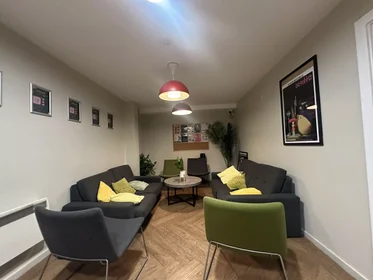 Stanza privata in Jennens Road, immagine 20 di 49