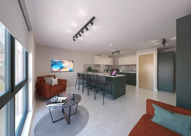 Stanza privata in Jennens Road, immagine 3 di 49