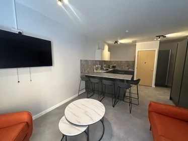 Stanza privata in Jennens Road, immagine 25 di 49